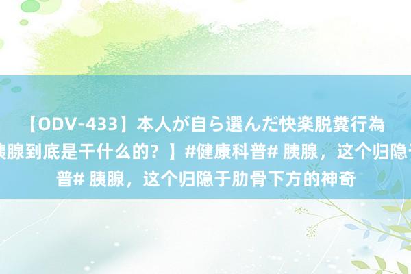 【ODV-433】本人が自ら選んだ快楽脱糞行為 1 神崎まゆみ 【胰腺到底是干什么的？】#健康科普# 胰腺，这个归隐于肋骨下方的神奇