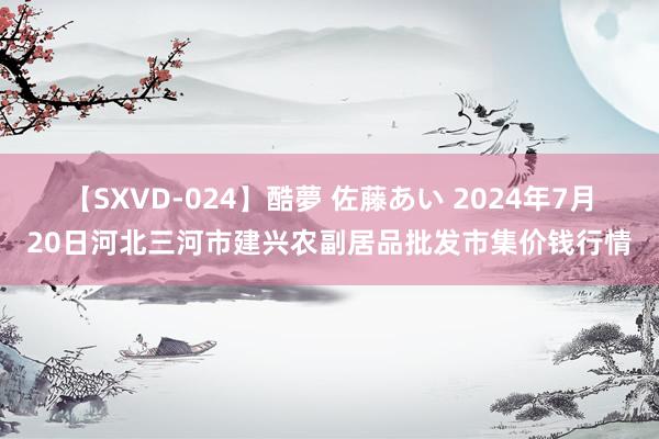 【SXVD-024】酷夢 佐藤あい 2024年7月20日河北三河市建兴农副居品批发市集价钱行情