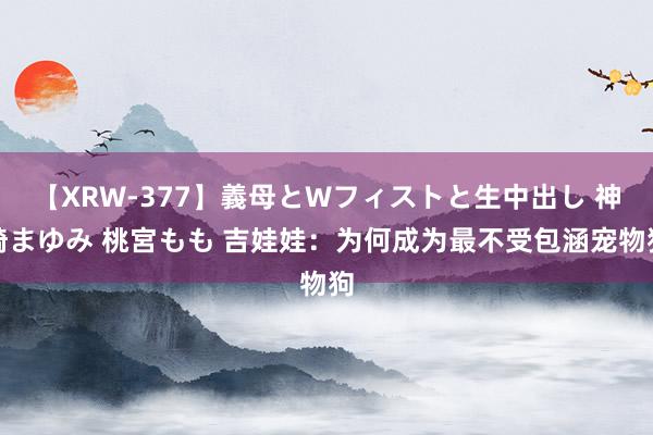 【XRW-377】義母とWフィストと生中出し 神崎まゆみ 桃宮もも 吉娃娃：为何成为最不受包涵宠物狗