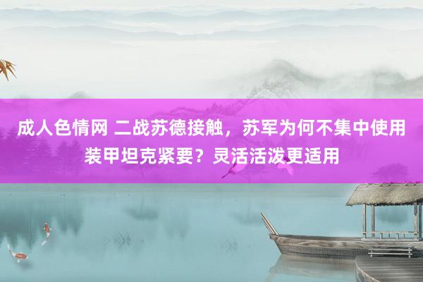 成人色情网 二战苏德接触，苏军为何不集中使用装甲坦克紧要？灵活活泼更适用