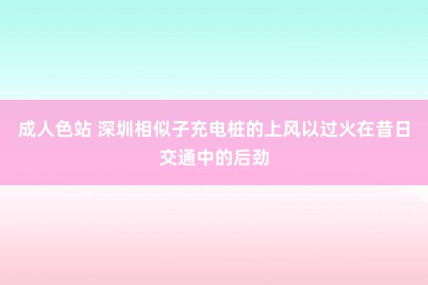 成人色站 深圳相似子充电桩的上风以过火在昔日交通中的后劲