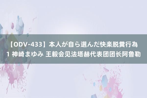 【ODV-433】本人が自ら選んだ快楽脱糞行為 1 神崎まゆみ 王毅会见法塔赫代表团团长阿鲁勒