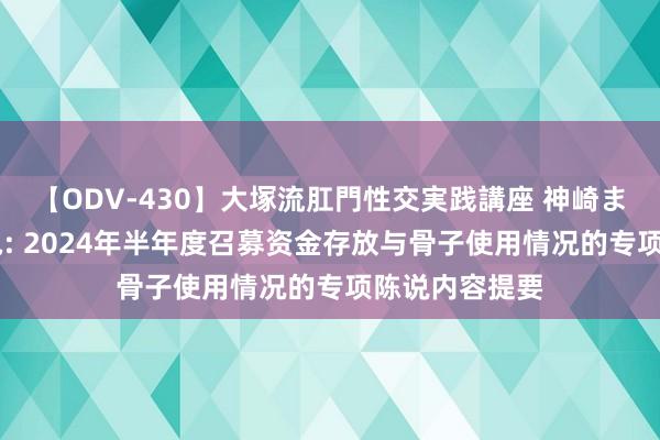 【ODV-430】大塚流肛門性交実践講座 神崎まゆみ 昊志机电: 2024年半年度召募资金存放与骨子使用情况的专项陈说内容提要