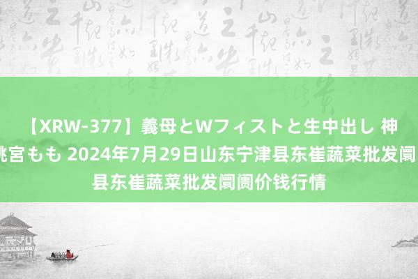 【XRW-377】義母とWフィストと生中出し 神崎まゆみ 桃宮もも 2024年7月29日山东宁津县东崔蔬菜批发阛阓价钱行情