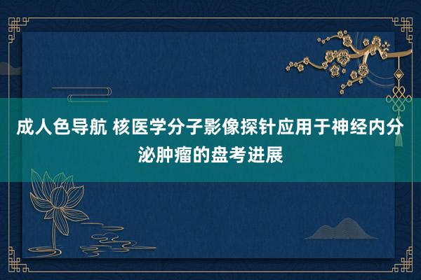 成人色导航 核医学分子影像探针应用于神经内分泌肿瘤的盘考进展