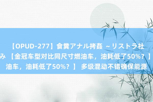 【OPUD-277】食糞アナル拷姦 ～リストラ社員の糞拷問～ 神崎まゆみ 【金冠车型对比同尺寸燃油车，油耗低了50%？】 多级混动不错确保能源