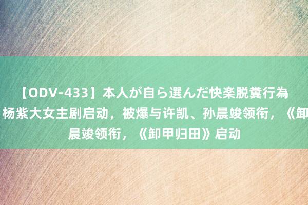 【ODV-433】本人が自ら選んだ快楽脱糞行為 1 神崎まゆみ 杨紫大女主剧启动，被爆与许凯、孙晨竣领衔，《卸甲归田》启动