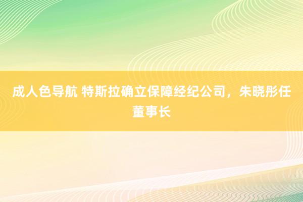 成人色导航 特斯拉确立保障经纪公司，朱晓彤任董事长