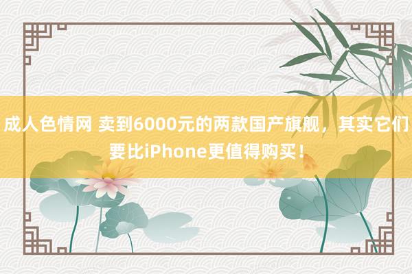 成人色情网 卖到6000元的两款国产旗舰，其实它们要比iPhone更值得购买！