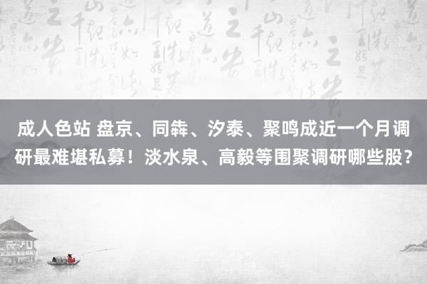 成人色站 盘京、同犇、汐泰、聚鸣成近一个月调研最难堪私募！淡水泉、高毅等围聚调研哪些股？