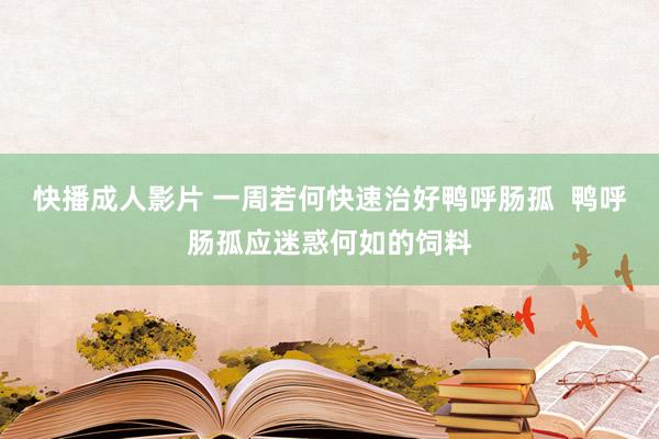 快播成人影片 一周若何快速治好鸭呼肠孤  鸭呼肠孤应迷惑何如的饲料