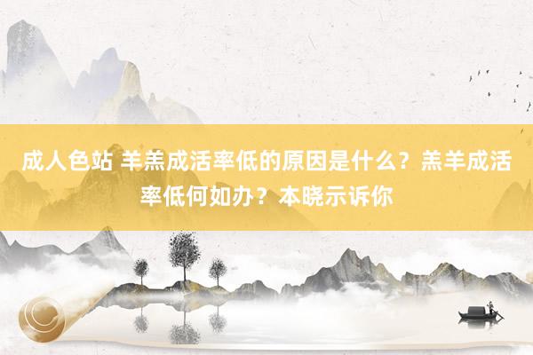 成人色站 羊羔成活率低的原因是什么？羔羊成活率低何如办？本晓示诉你