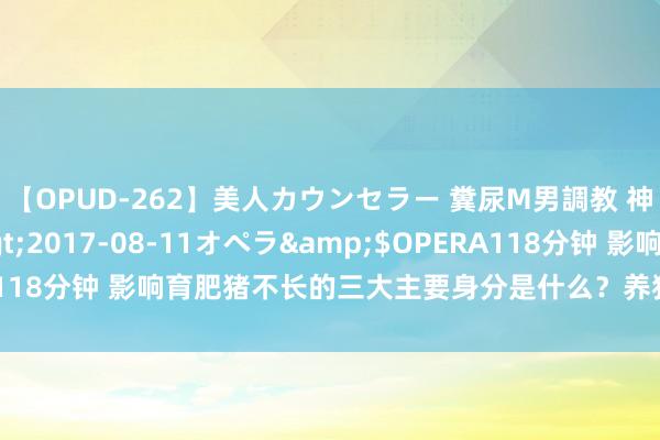 【OPUD-262】美人カウンセラー 糞尿M男調教 神崎まゆみ</a>2017-08-11オペラ&$OPERA118分钟 影响育肥猪不长的三大主要身分是什么？养猪东说念主要在意