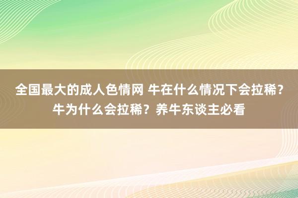 全国最大的成人色情网 牛在什么情况下会拉稀？牛为什么会拉稀？养牛东谈主必看