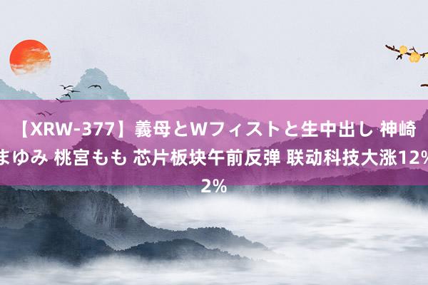 【XRW-377】義母とWフィストと生中出し 神崎まゆみ 桃宮もも 芯片板块午前反弹 联动科技大涨12%