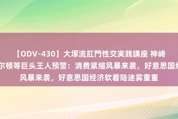 【ODV-430】大塚流肛門性交実践講座 神崎まゆみ 迪士尼、希尔顿等巨头王人预警：消费紧缩风暴来袭，好意思国经济软着陆迷雾重重