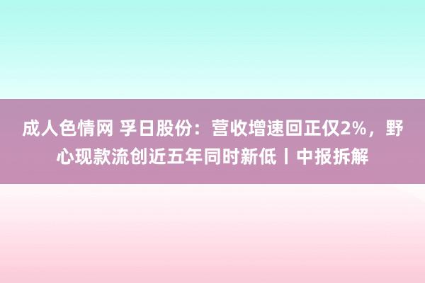 成人色情网 孚日股份：营收增速回正仅2%，野心现款流创近五年同时新低丨中报拆解