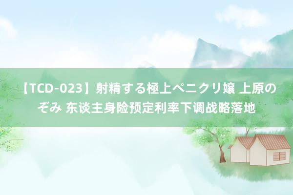 【TCD-023】射精する極上ペニクリ嬢 上原のぞみ 东谈主身险预定利率下调战略落地