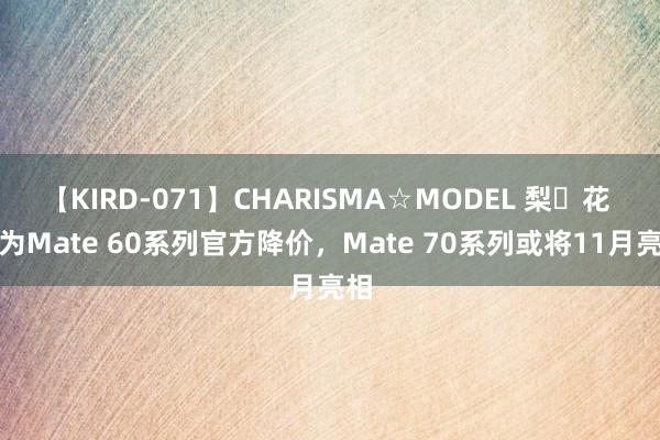 【KIRD-071】CHARISMA☆MODEL 梨々花 华为Mate 60系列官方降价，Mate 70系列或将11月亮相