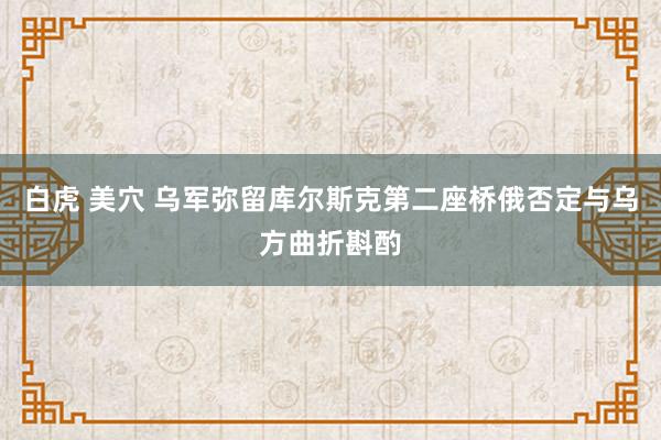 白虎 美穴 乌军弥留库尔斯克第二座桥　俄否定与乌方曲折斟酌