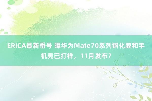 ERICA最新番号 曝华为Mate70系列钢化膜和手机壳已打样，11月发布？