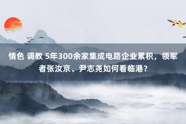 情色 调教 5年300余家集成电路企业累积，领军者张汝京、尹志尧如何看临港？