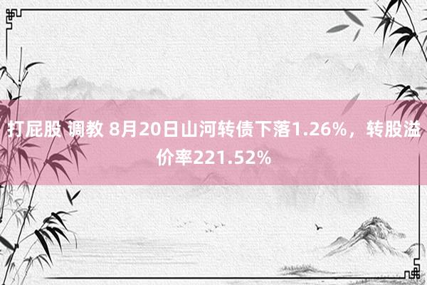 打屁股 调教 8月20日山河转债下落1.26%，转股溢价率221.52%