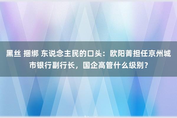 黑丝 捆绑 东说念主民的口头：欧阳菁担任京州城市银行副行长，国企高管什么级别？