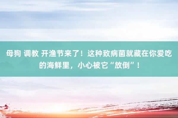 母狗 调教 开渔节来了！这种致病菌就藏在你爱吃的海鲜里，小心被它“放倒”！