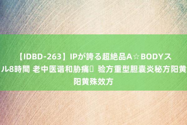 【IDBD-263】IPが誇る超絶品A☆BODYスペシャル8時間 老中医谐和胁痛​验方重型胆囊炎秘方阳黄殊效方