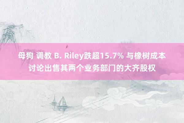 母狗 调教 B. Riley跌超15.7% 与橡树成本讨论出售其两个业务部门的大齐股权