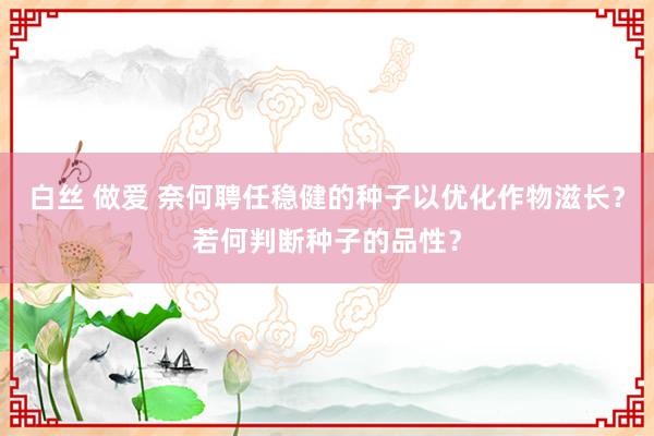 白丝 做爱 奈何聘任稳健的种子以优化作物滋长？若何判断种子的品性？