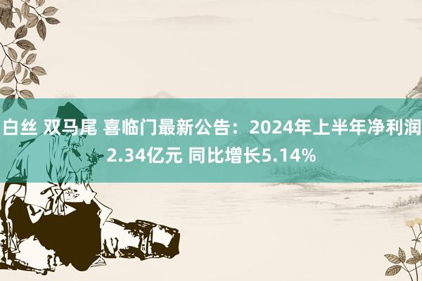 白丝 双马尾 喜临门最新公告：2024年上半年净利润2.34亿元 同比增长5.14%