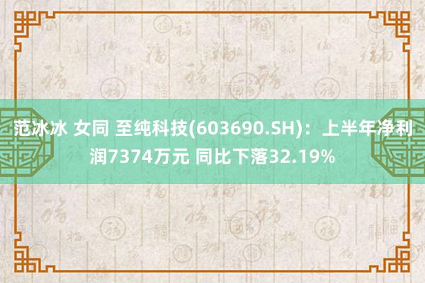 范冰冰 女同 至纯科技(603690.SH)：上半年净利润7374万元 同比下落32.19%