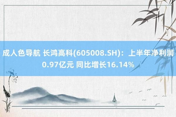 成人色导航 长鸿高科(605008.SH)：上半年净利润0.97亿元 同比增长16.14%