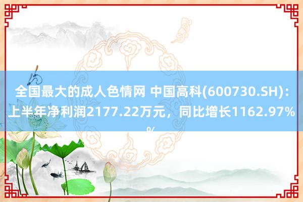 全国最大的成人色情网 中国高科(600730.SH)：上半年净利润2177.22万元，同比增长1162.97%