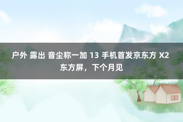 户外 露出 音尘称一加 13 手机首发京东方 X2 东方屏，下个月见