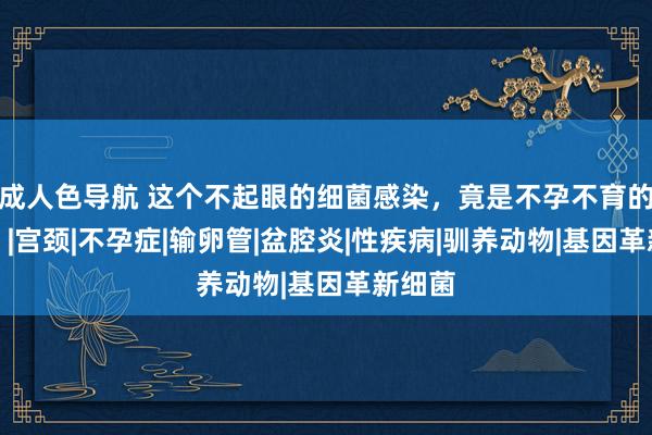 成人色导航 这个不起眼的细菌感染，竟是不孕不育的真凶？|宫颈|不孕症|输卵管|盆腔炎|性疾病|驯养动物|基因革新细菌