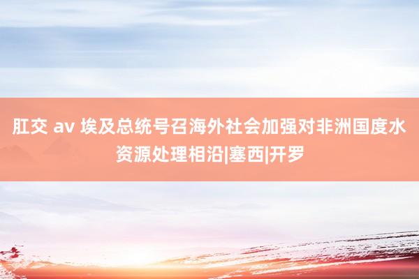 肛交 av 埃及总统号召海外社会加强对非洲国度水资源处理相沿|塞西|开罗