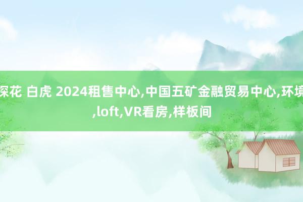 探花 白虎 2024租售中心，中国五矿金融贸易中心，环境，loft，VR看房，样板间